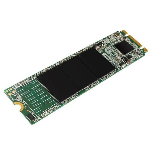 SSD Silicon Power A55 M.2 SATA3 560/530 MB/s 256GB